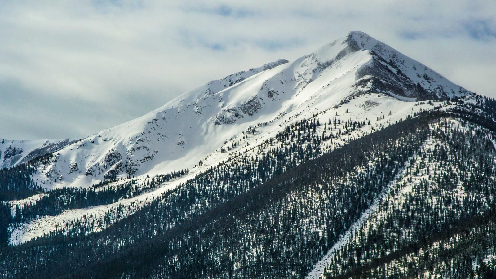Indian Ocean dhow trade route — Horn of Africa to Arabia and India